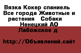 Вязка Кокер спаниель - Все города Животные и растения » Собаки   . Ненецкий АО,Лабожское д.